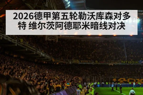 football stadium night crowd